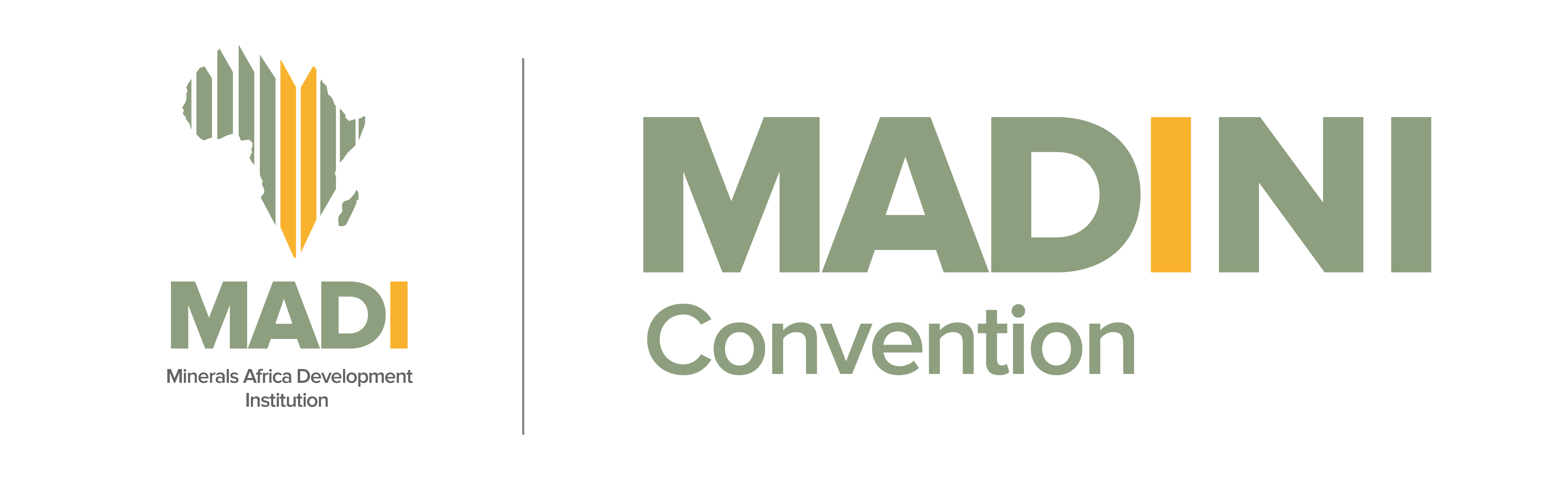 Madini Logo